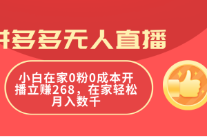 (11521期)拼多多无人直播,小白在家0粉0成本开播立赚268,在家轻松月入数千