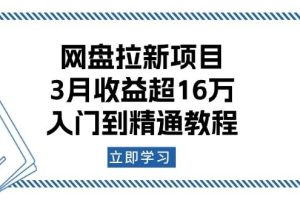 （13994期）网盘拉新项目：3月收益超16万，入门到精通教程