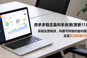（16641期）拼多多稳定盈利系统课(更新11月)，突破运营瓶颈，构建可持续的盈利模型，实现月均利润5万+