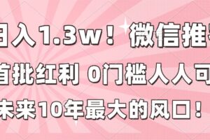 （16969期）日入1.3w！微信推客，首批红利，未来10年最大的风口，0门槛，人人可做！